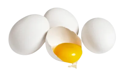 White Eggs Large 0.5Dz