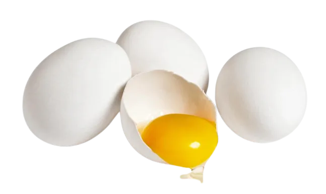 White Eggs Large 0.5Dz