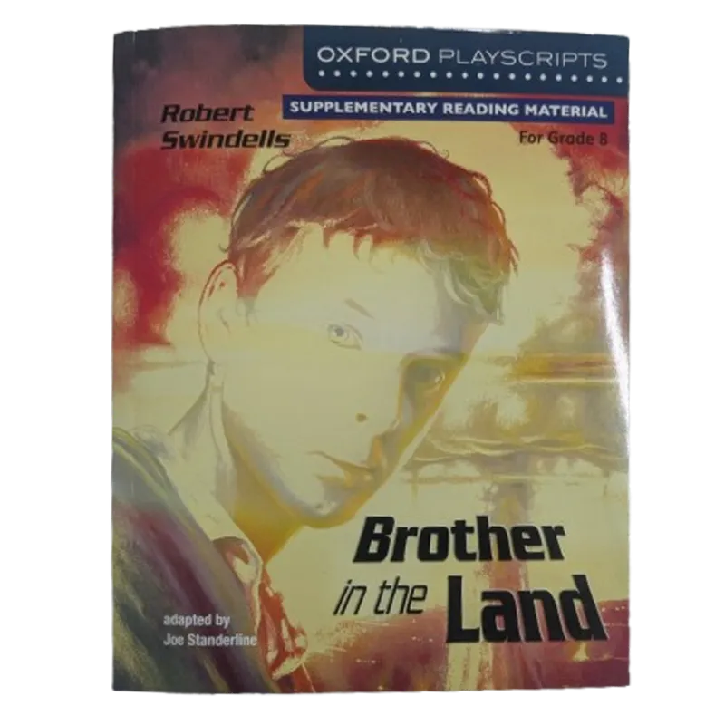 Brother In the Land (playscript) by Robert Swindells