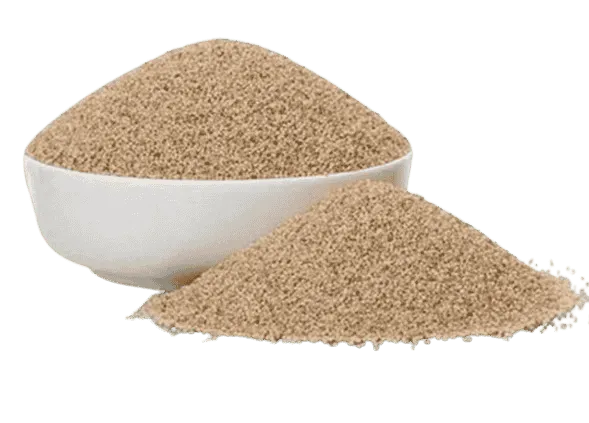 Khash Khash 100G