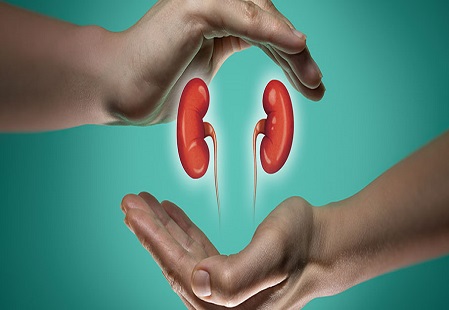 YOUR KIDNEYS PALBABLY MATTER